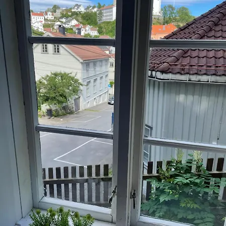 Nydelig Sentrumsleilighet 公寓 阿伦达尔